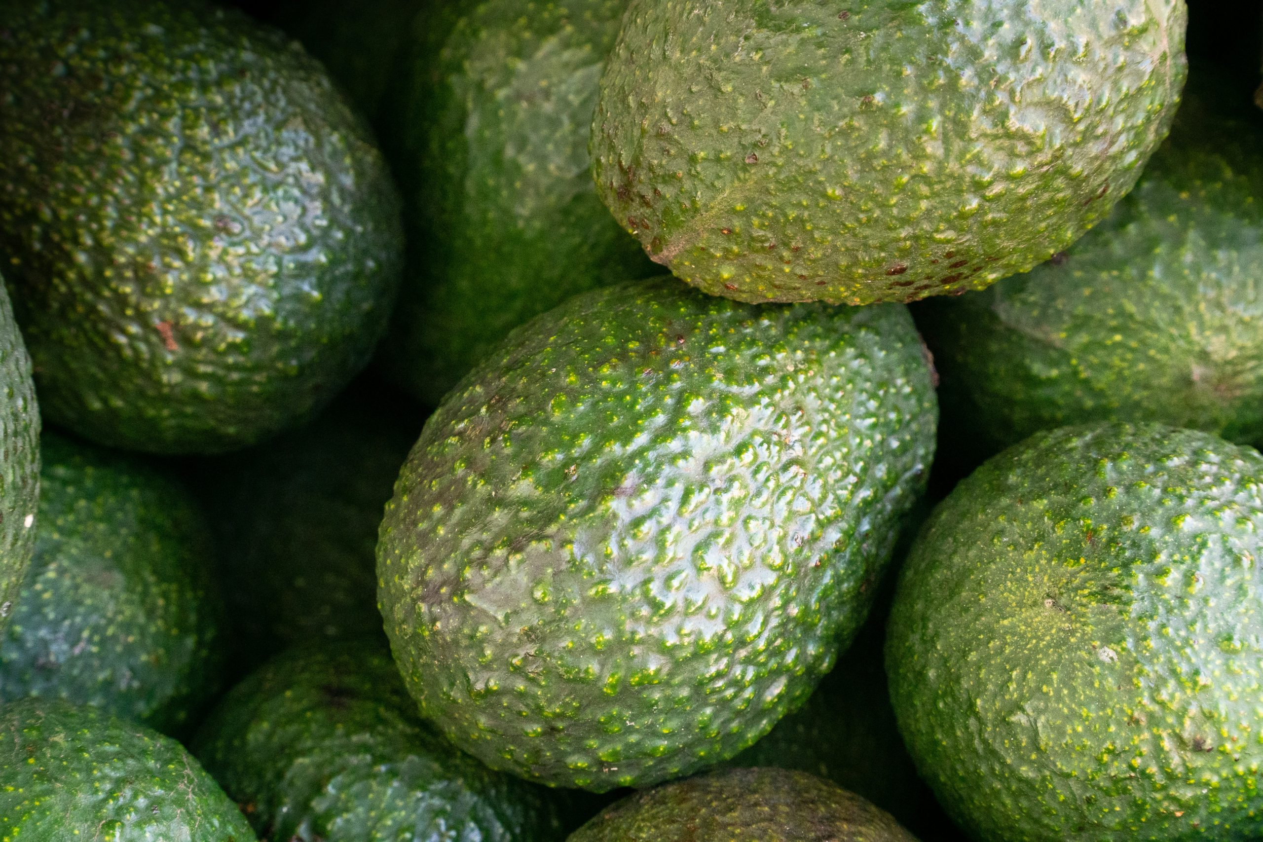 avocado (fuerte)