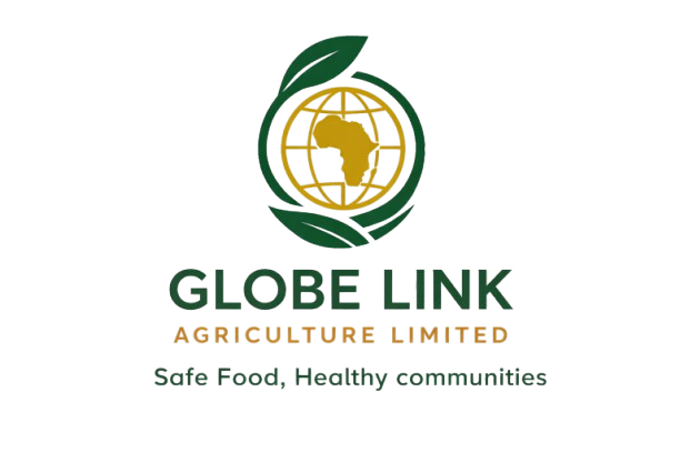 Home gla logo transparent
