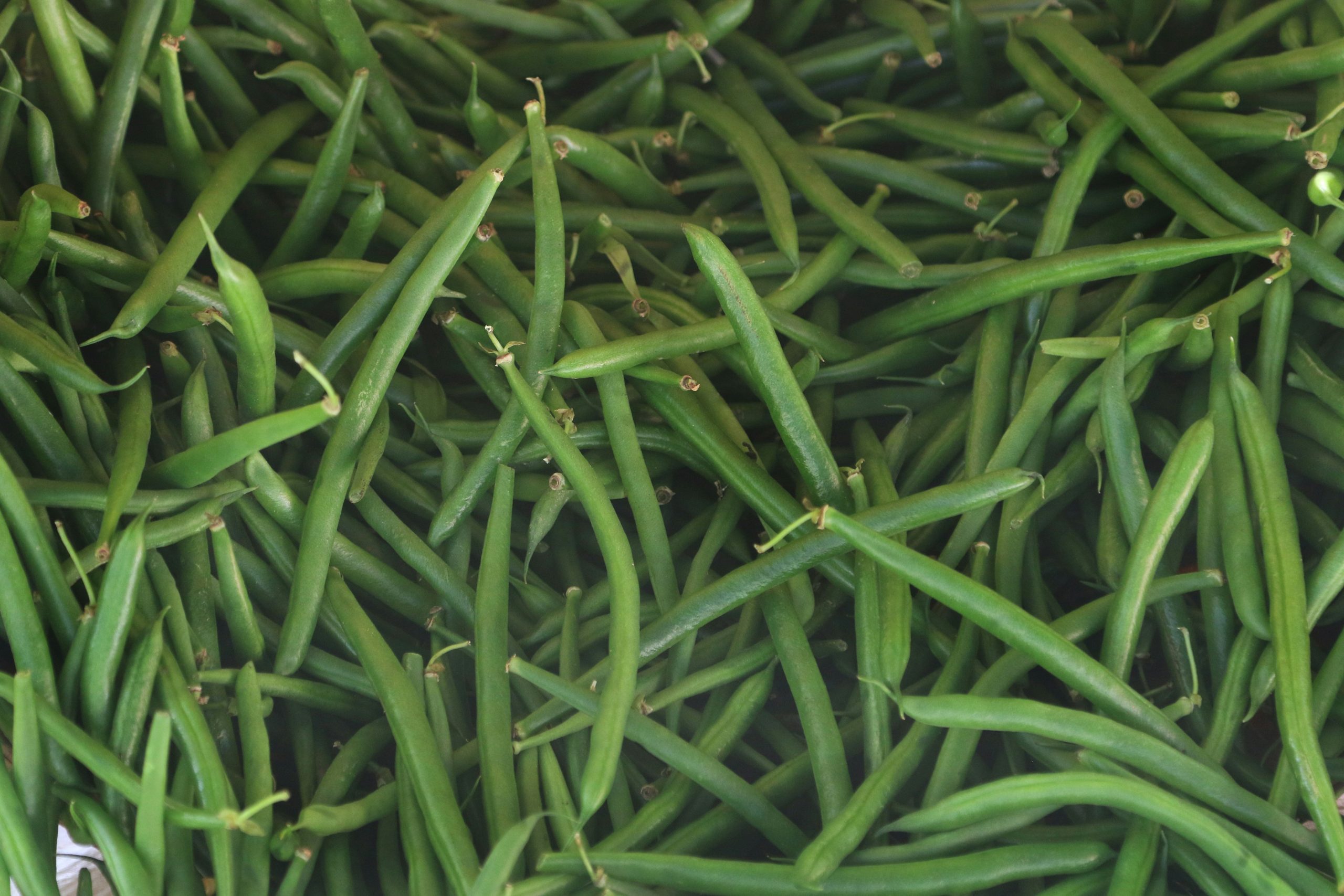 french beans