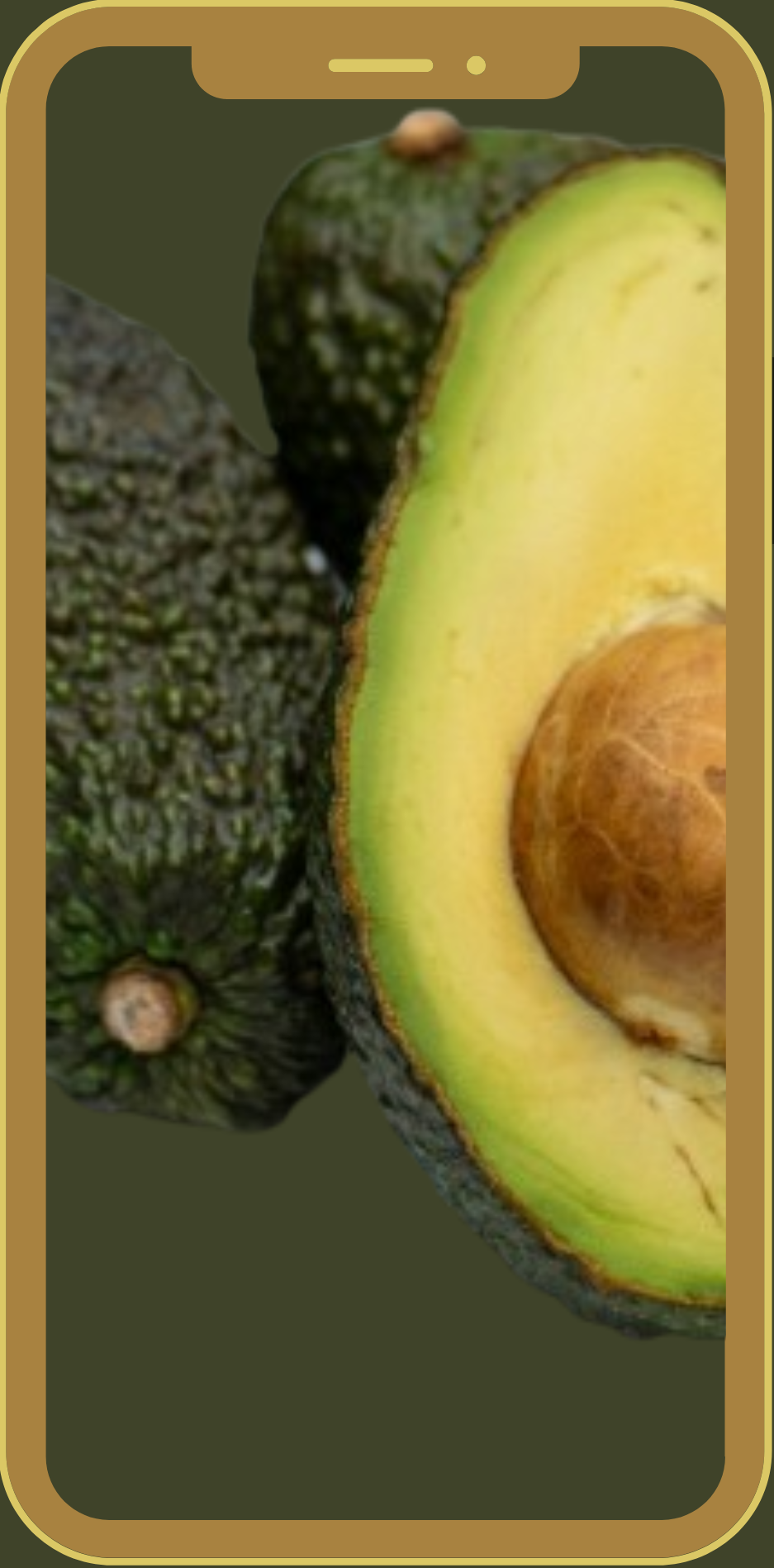 mobile avocado