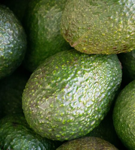 Home avocado (fuerte)