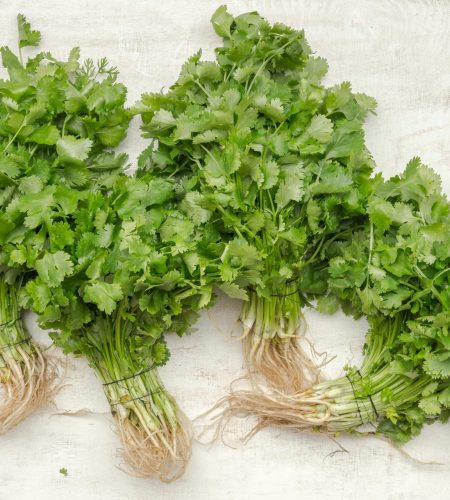 Home coriander