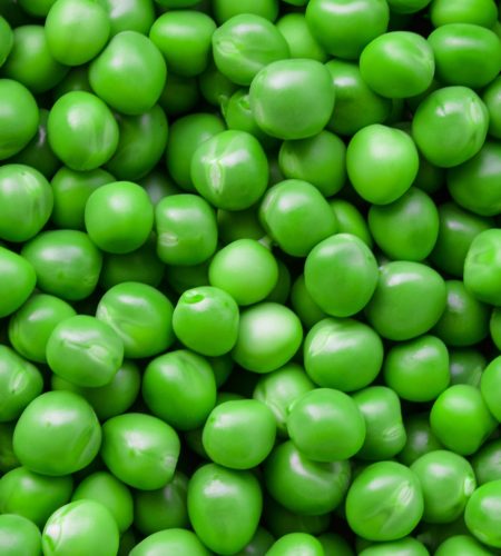 Home french beans