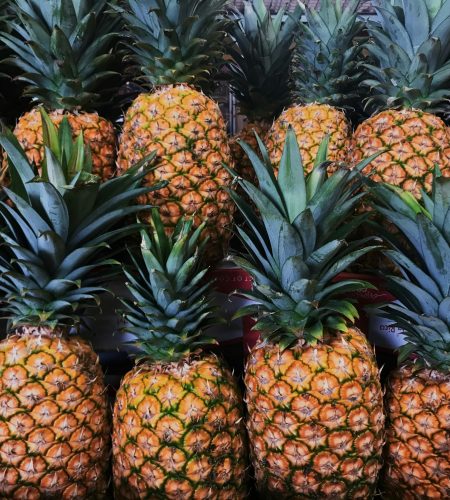 Home pineapple