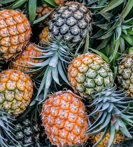 Home pineapple